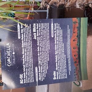 COACHELLA 2015 POSTER